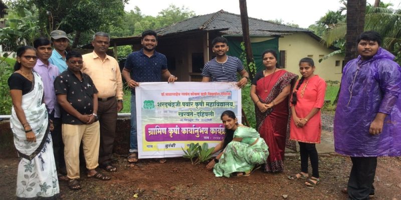 वृक्ष लागवड -