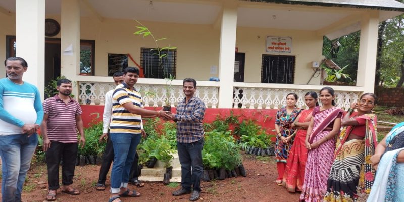 वृक्ष वाटप